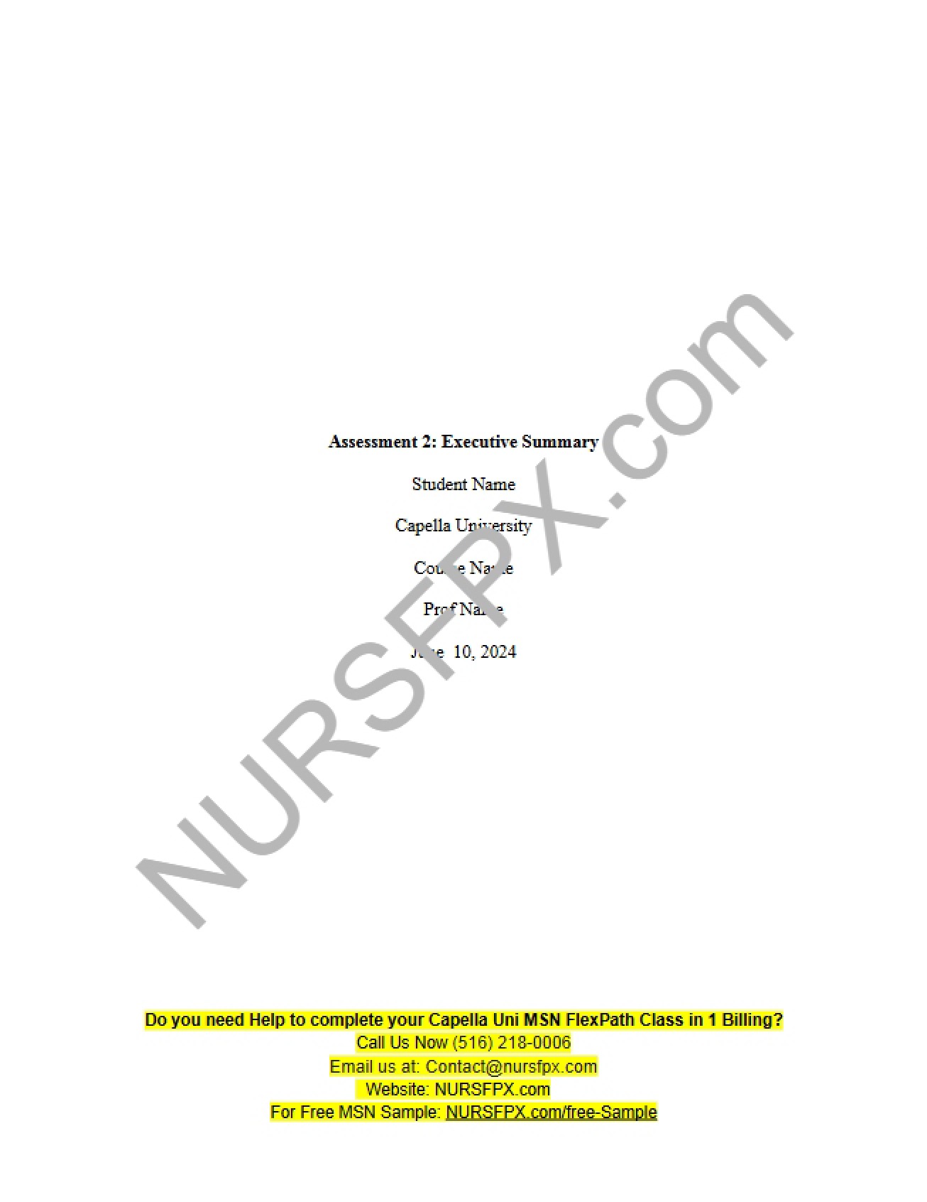 Executive Summary Development Assessment 2