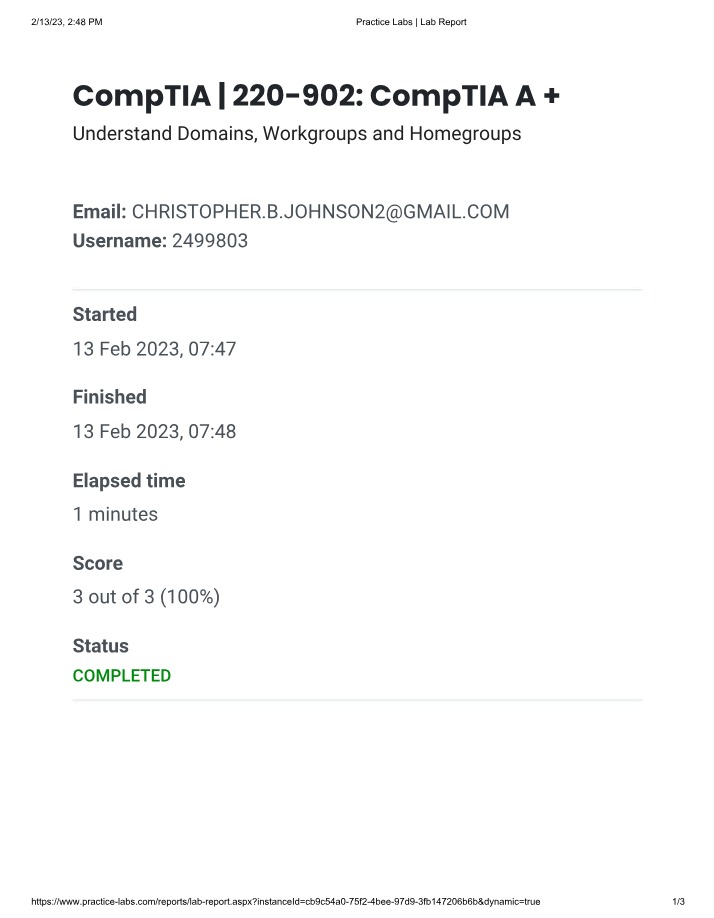 Domains, Workgroups, and Homegroups Lab Report