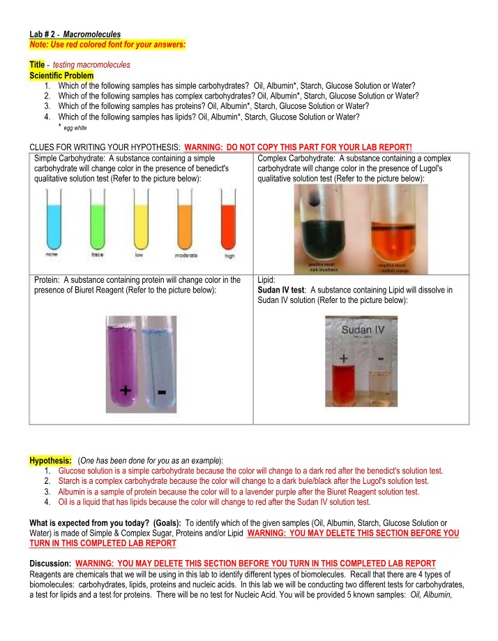Macromolecules - Simple and Complex Carbohydrates