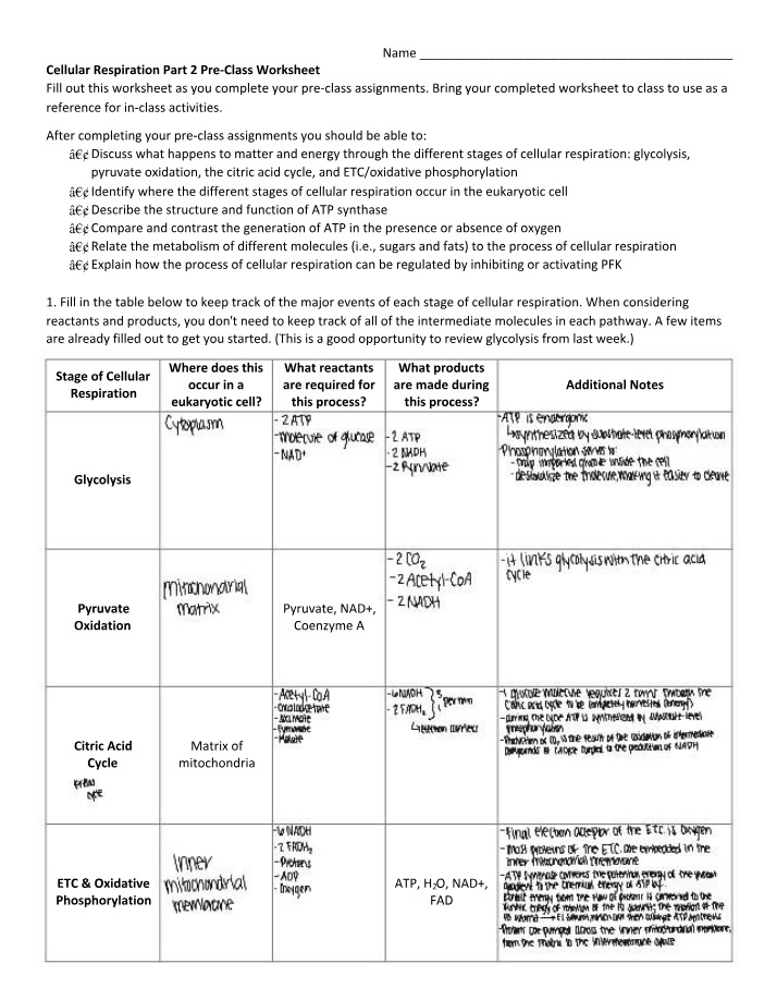 Cellular Respiration Part 2 Pre-Class Worksheet Set H