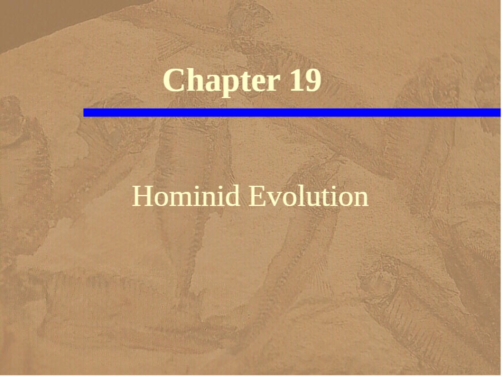 Evolution of Hominids