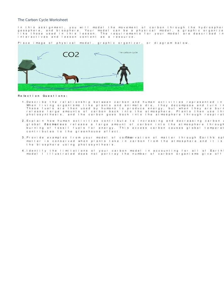 Worksheet on the Carbon Cycle