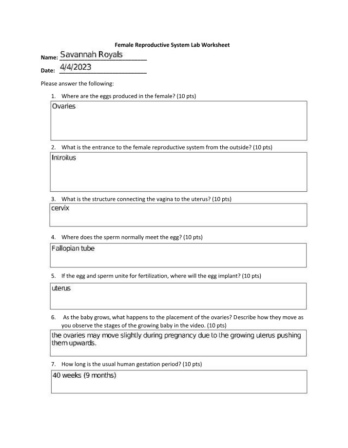 Lab Worksheet - Female Reproductive System
