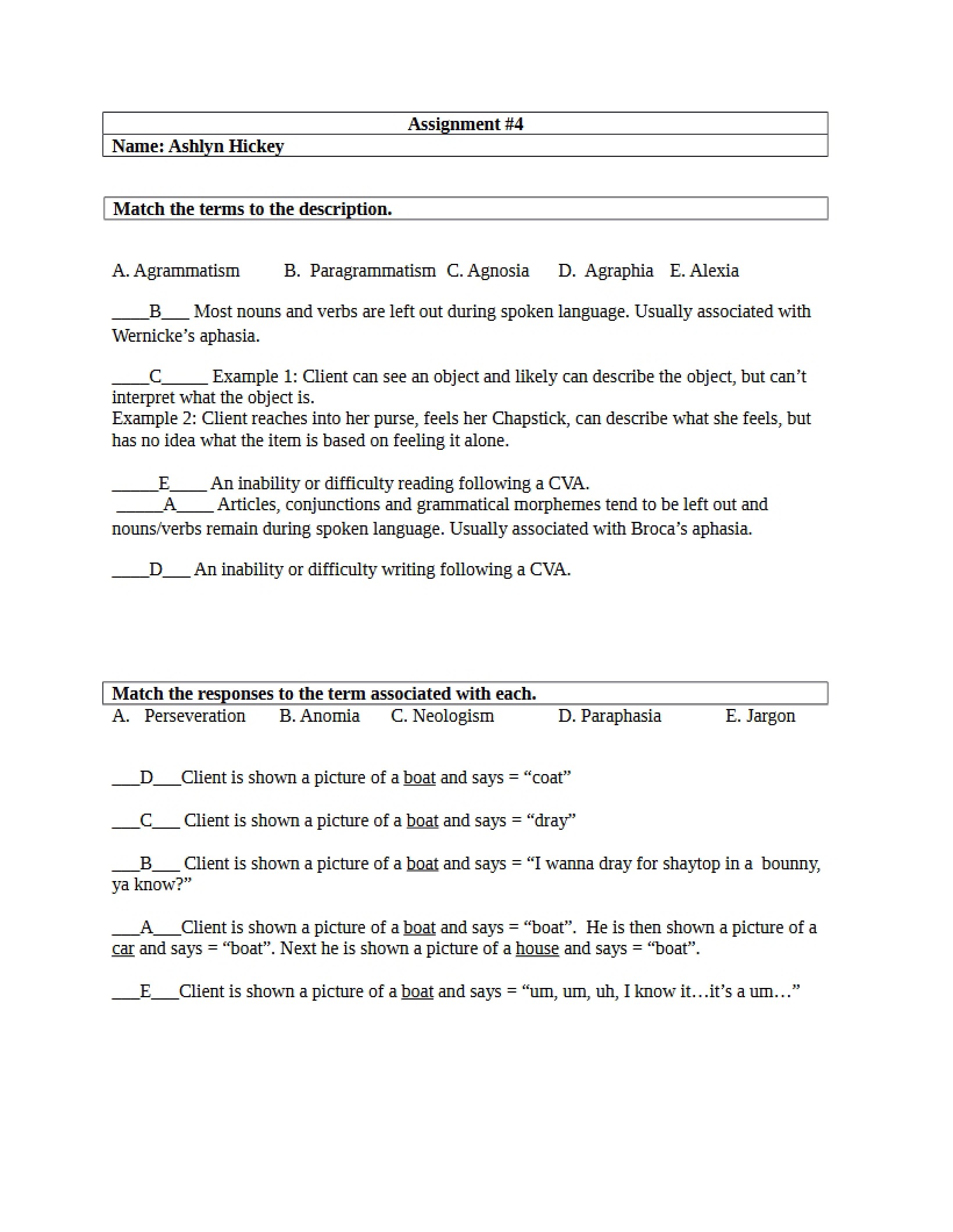 Understanding Aphasia