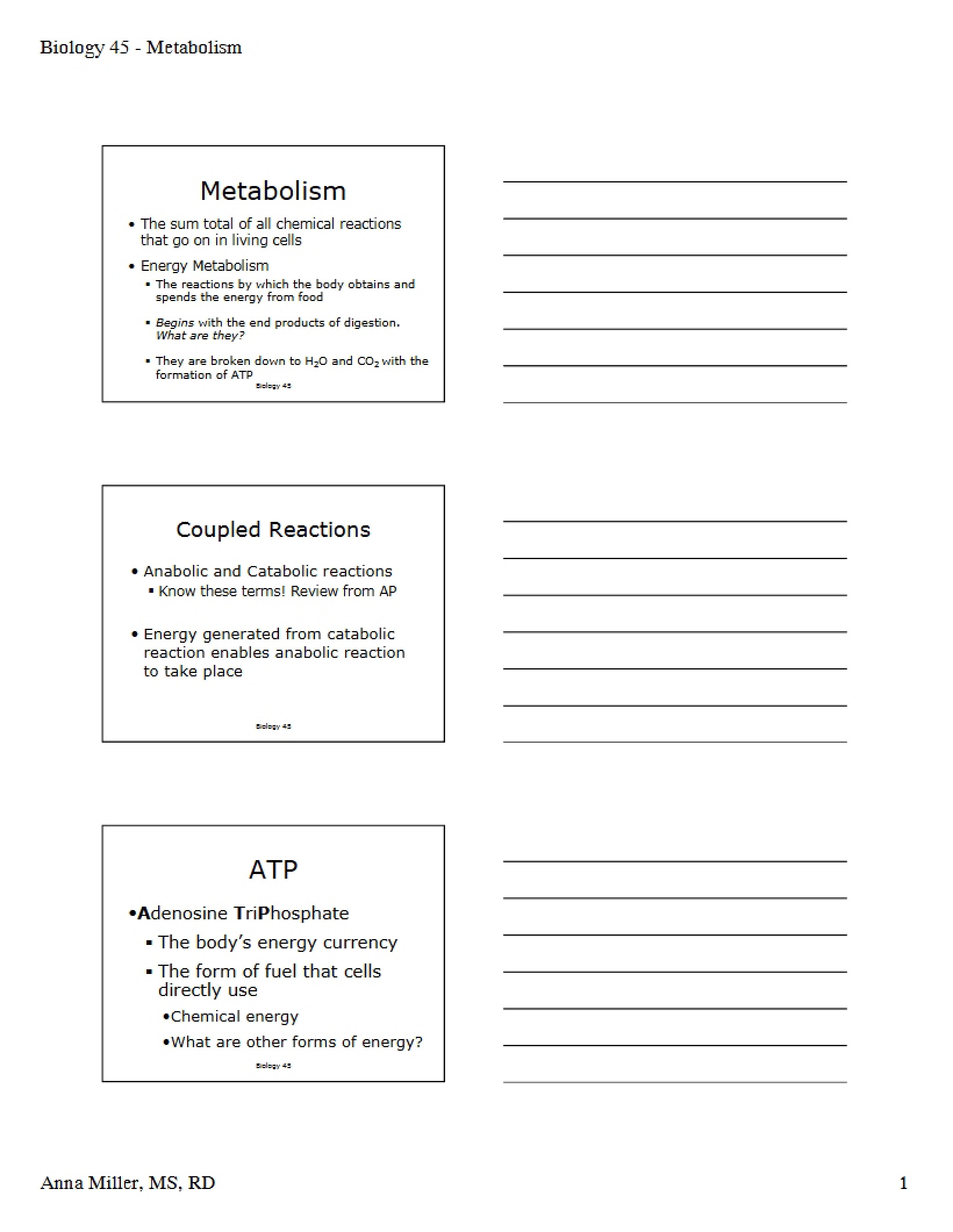 Metabolic Processes