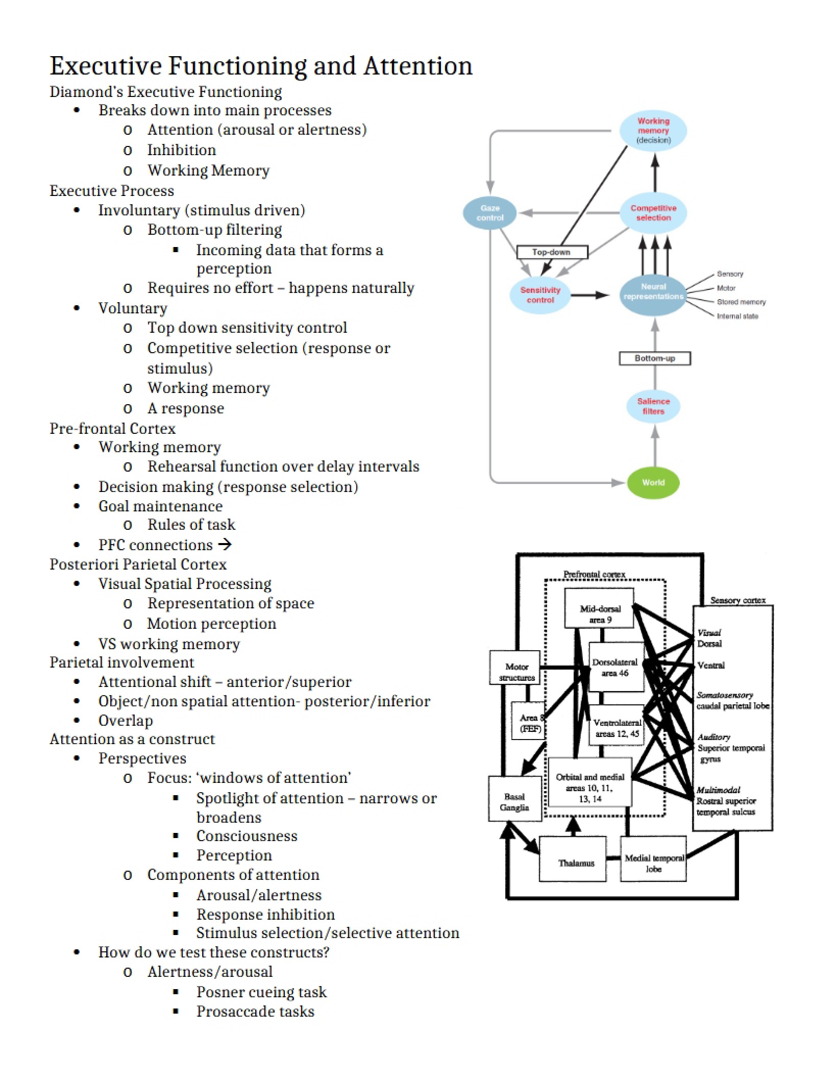 Attention and Executive Functioning