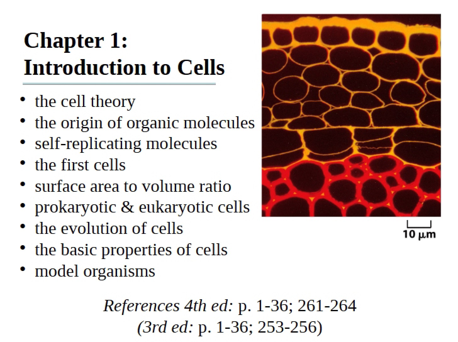 Cells Chapter 01