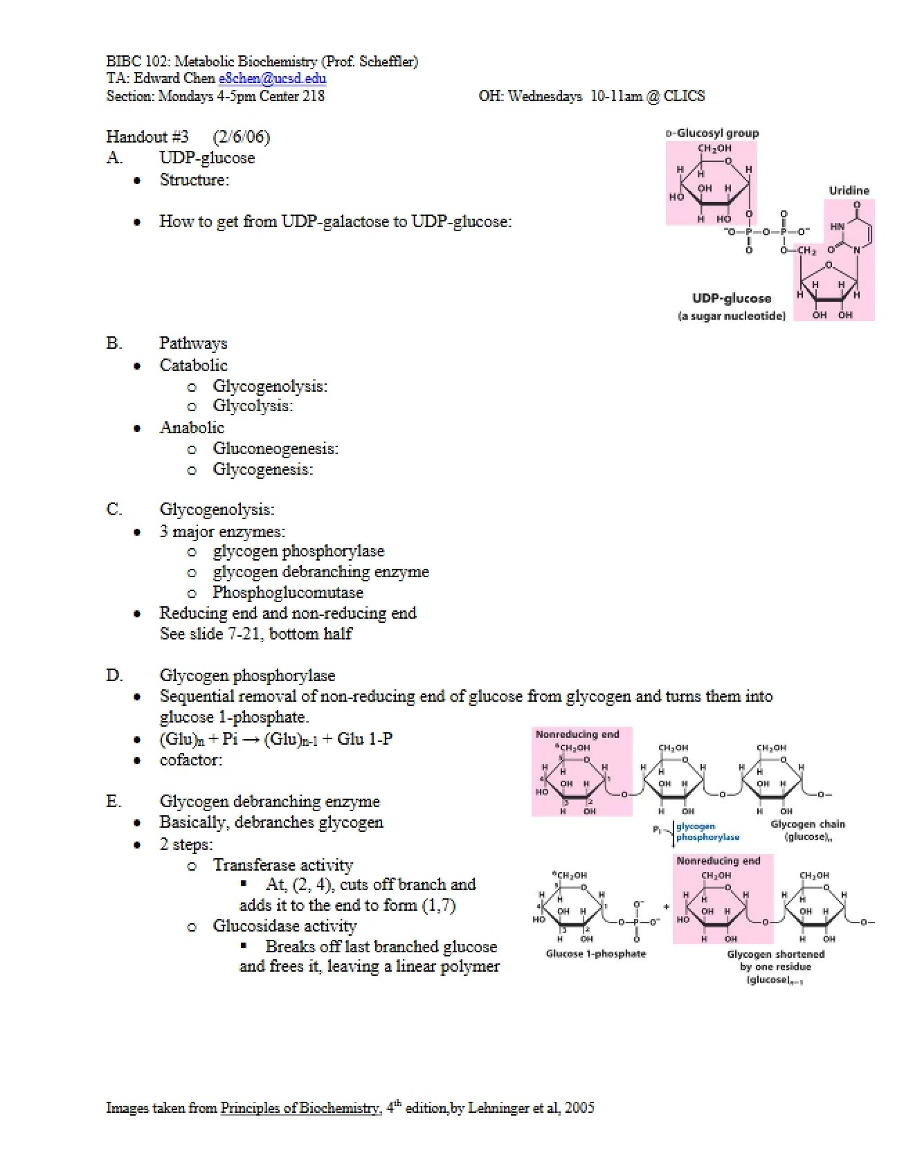 Class Notes for Metabolic Biochemistry