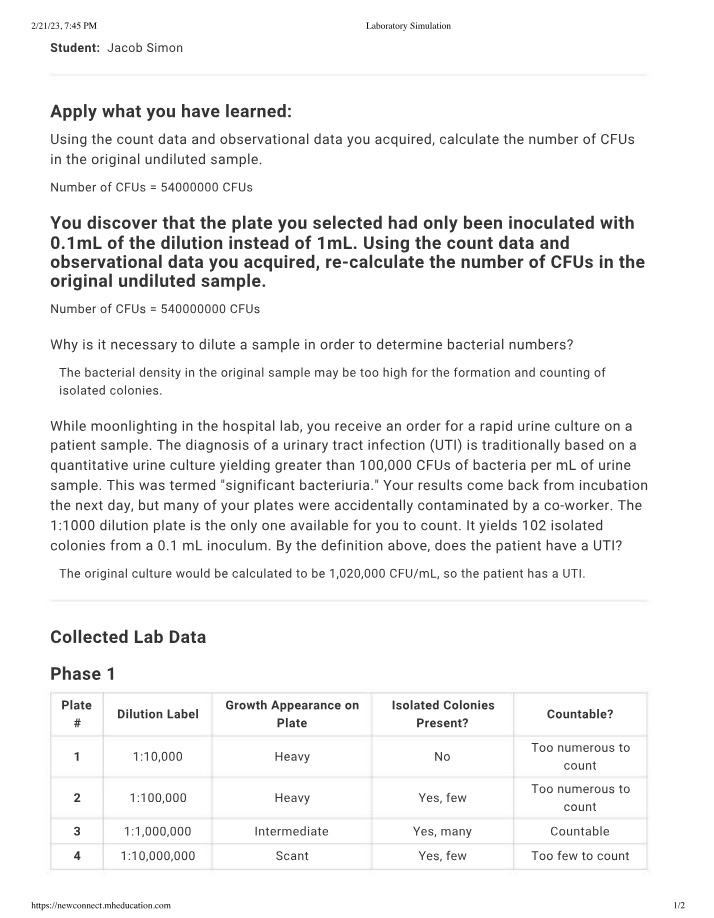 Laboratory Simulation - Calculating CFUs in Undiluted Samples
