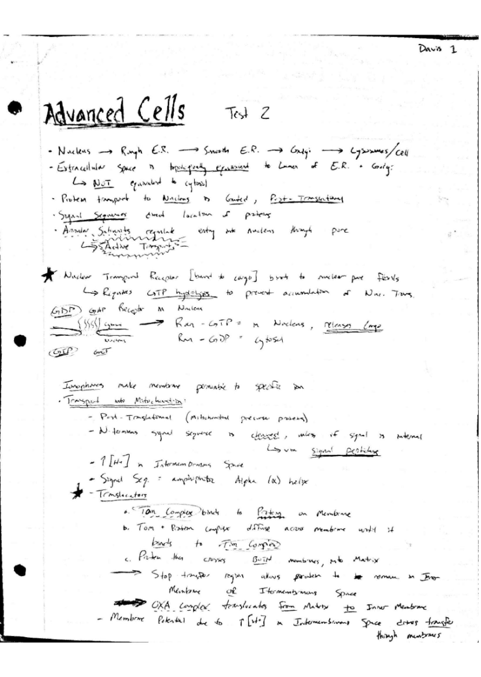 Cell Motility Notes - 4 Pages