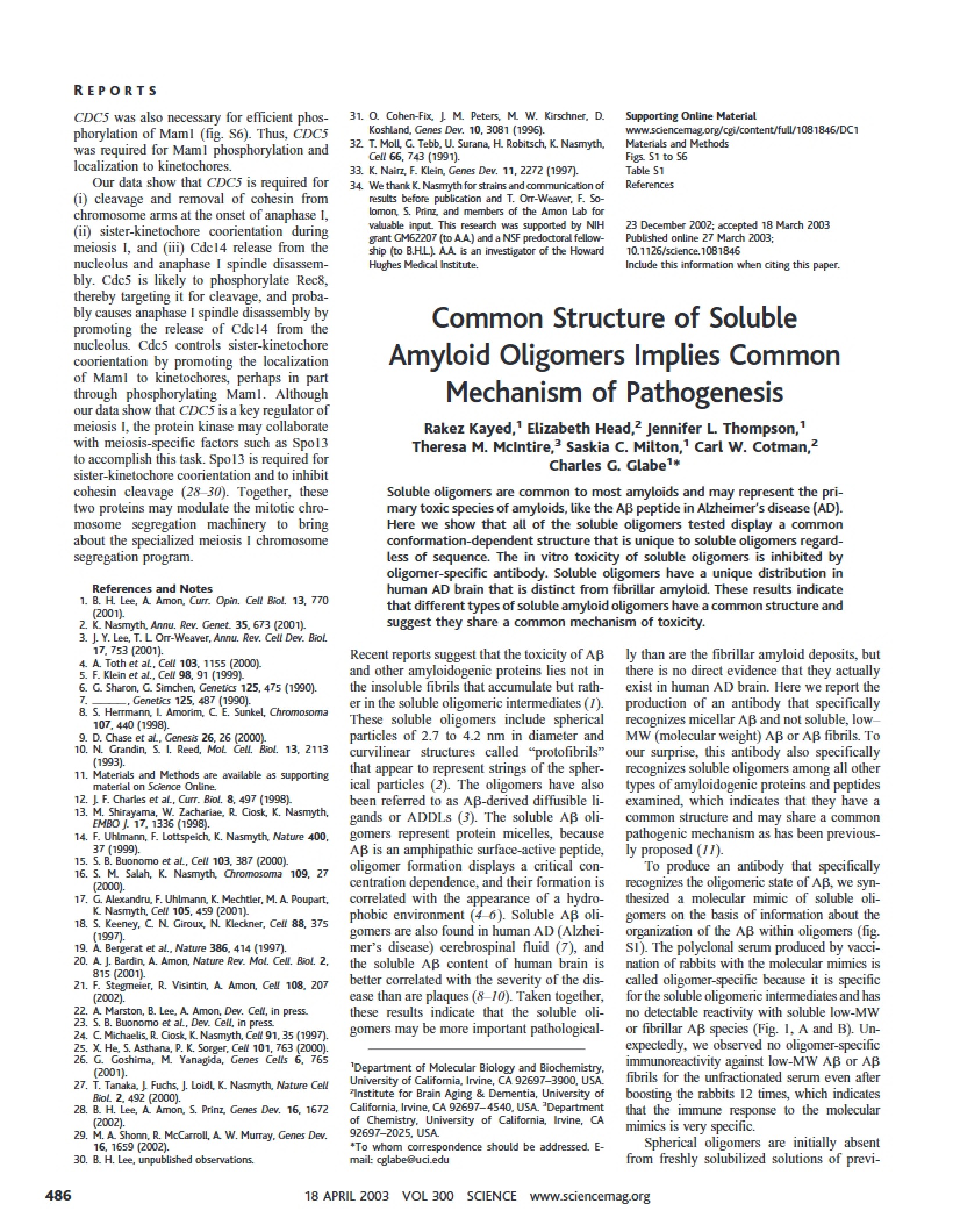 Soluble Amyloid Oligomer Structure