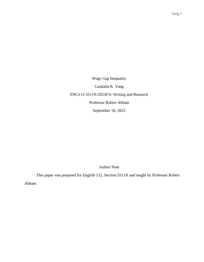 Wage Gap Inequality - A Global Perspective