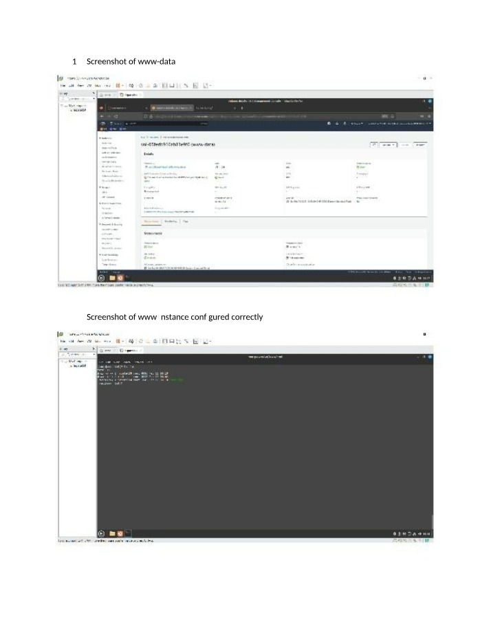 www Instance Configuration with Firefox Screenshot