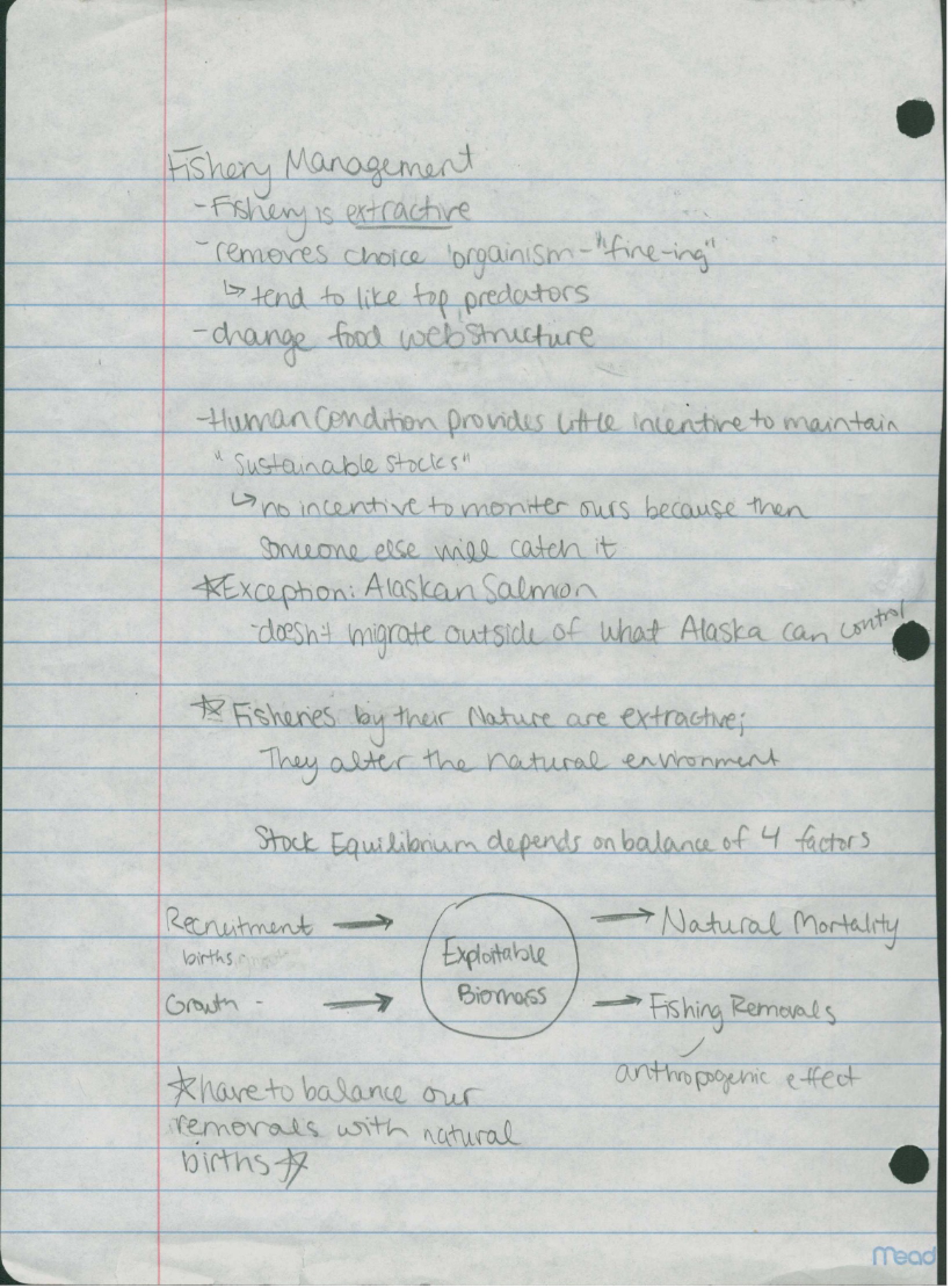 Class Notes GES 135