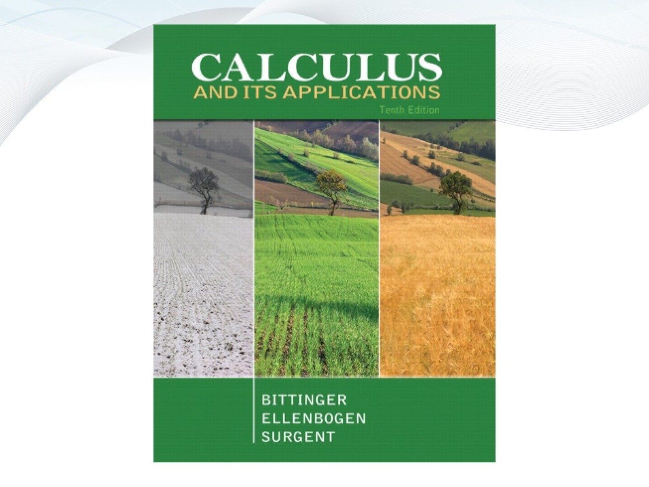 Business Calculus Notes