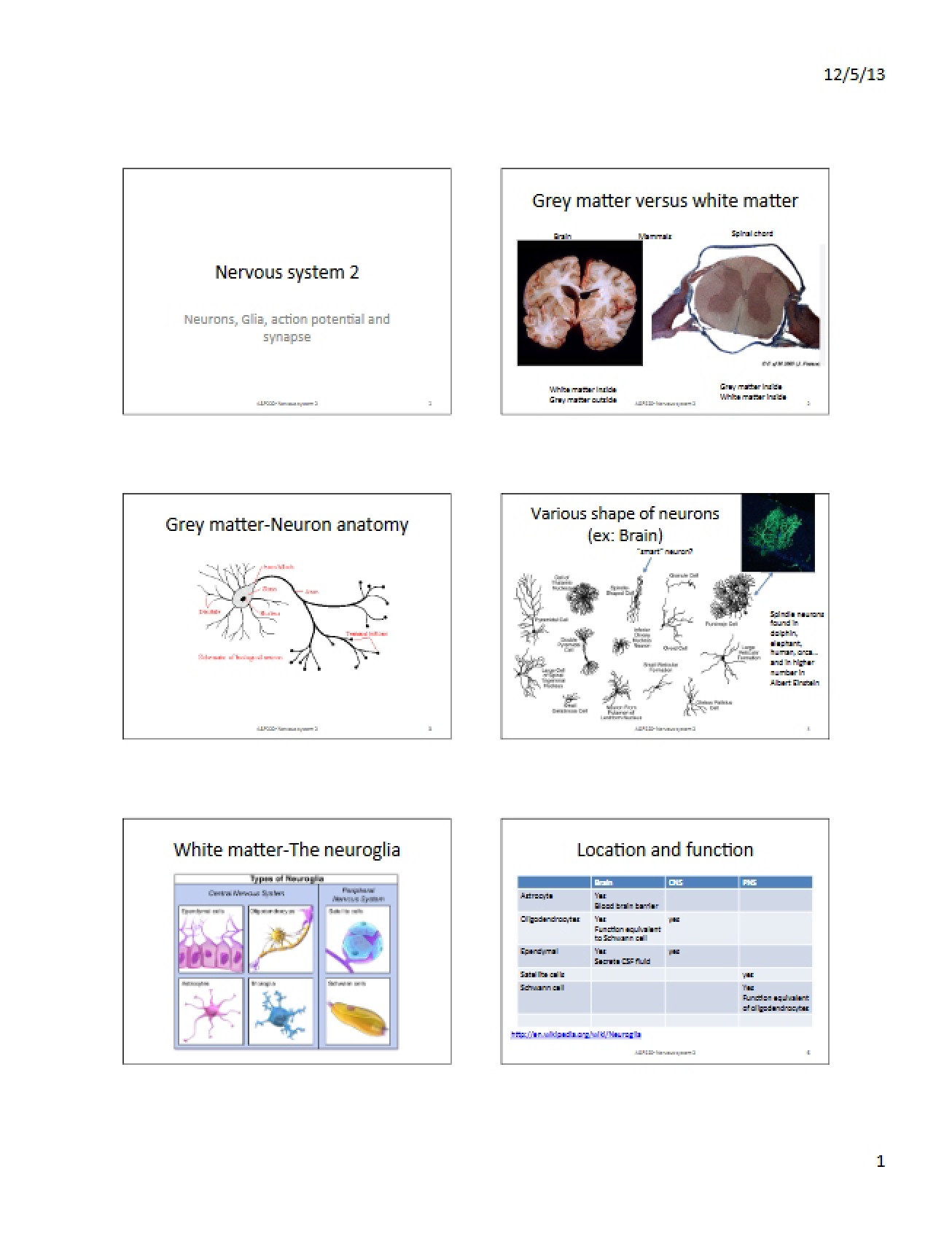 Physiology and Anatomy Section 6-p