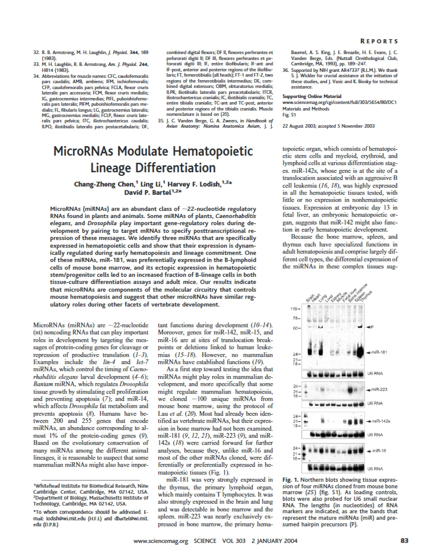 Hematopoietic Lineage Differentiation MicroRNA Modulation