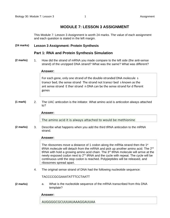 Assignment - RNA and Protein Synthesis