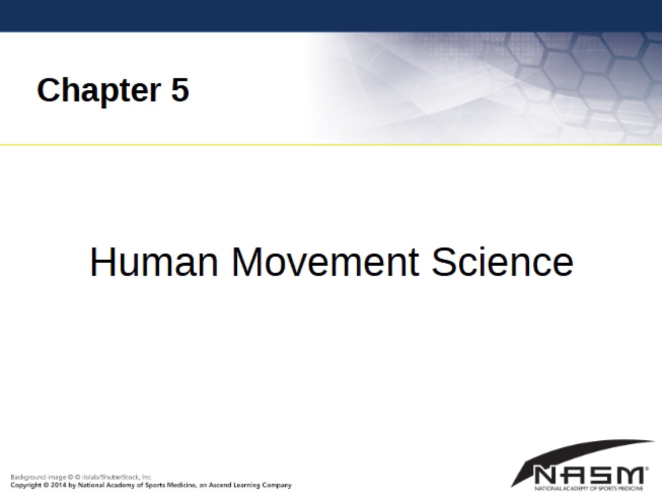 Chapter 5 Human Movement Science