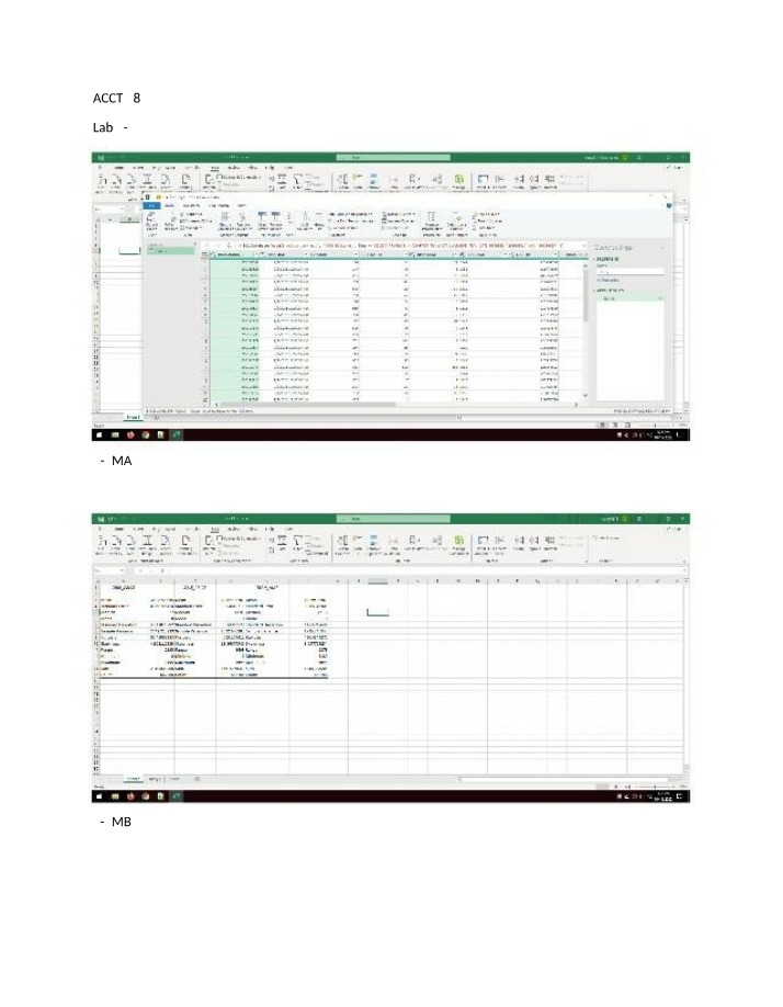 Worksheets for ACCT 785 Lab 3-4