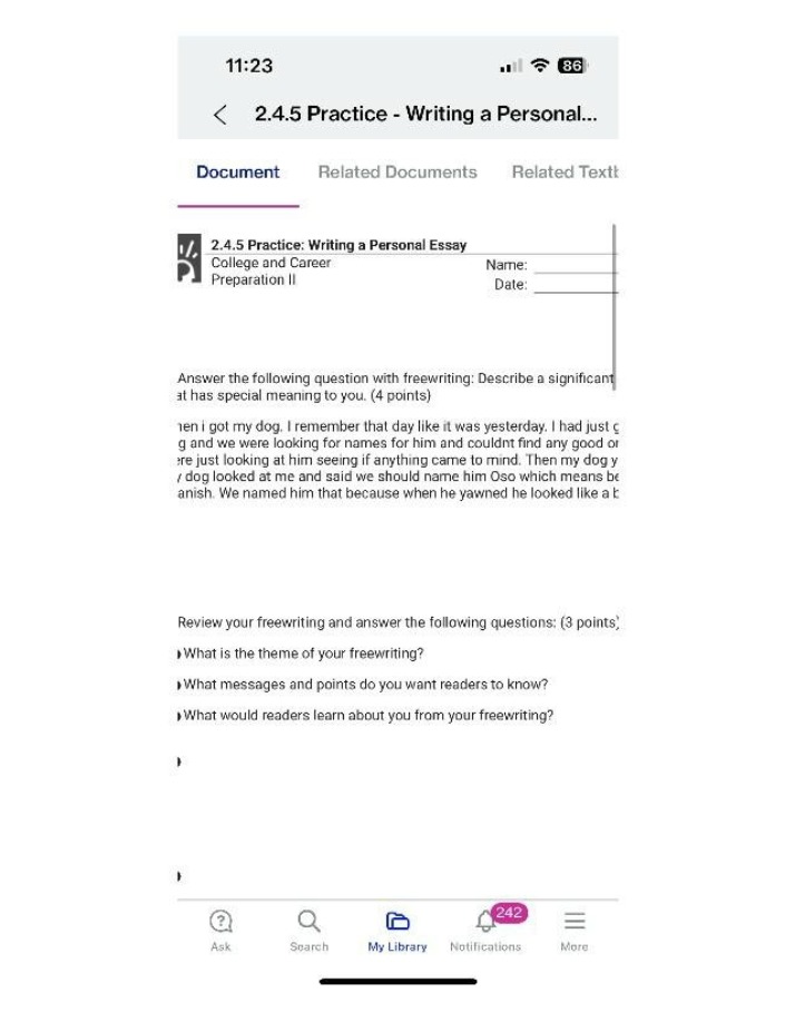 Practice 2.4.5 - Personal Essay Writing