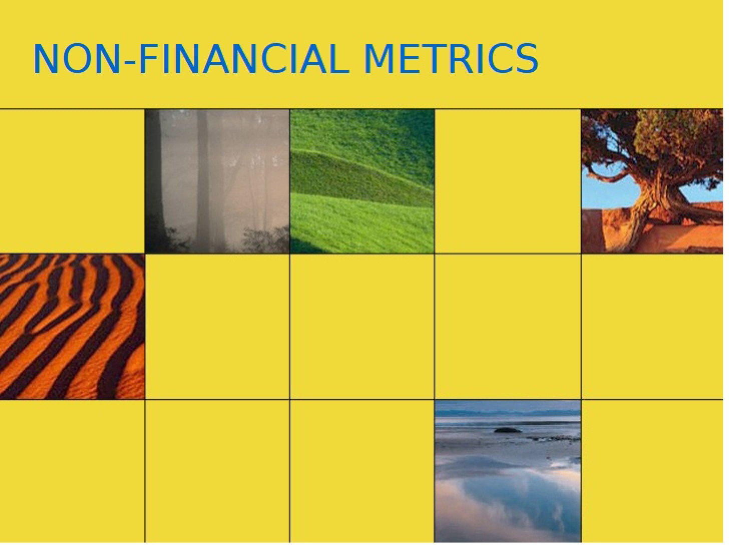 Metrics Non-Financial