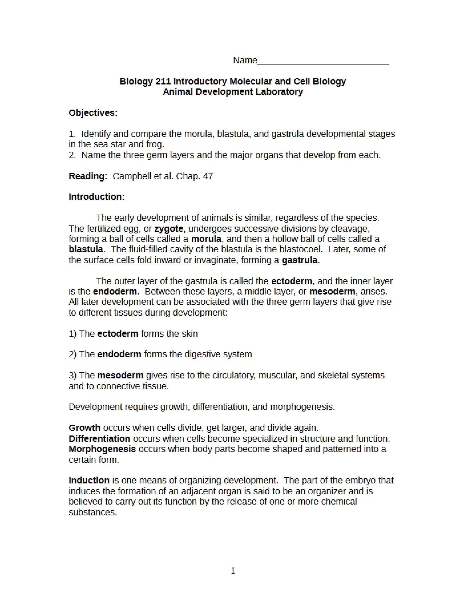Biology Molecular and Cell