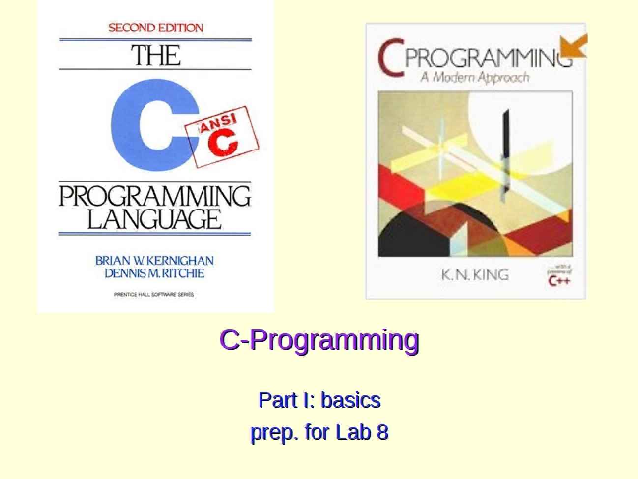 Experimental Physics C Language Guide