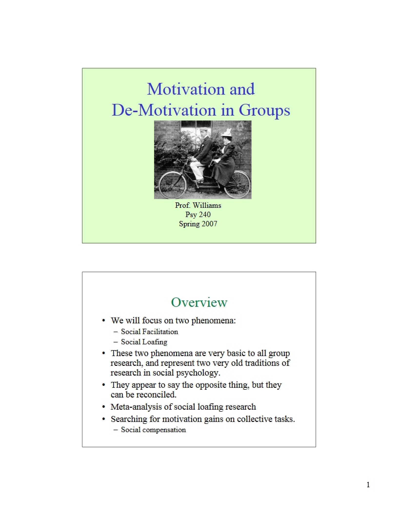 Group Dynamics Motivation and Demotivation