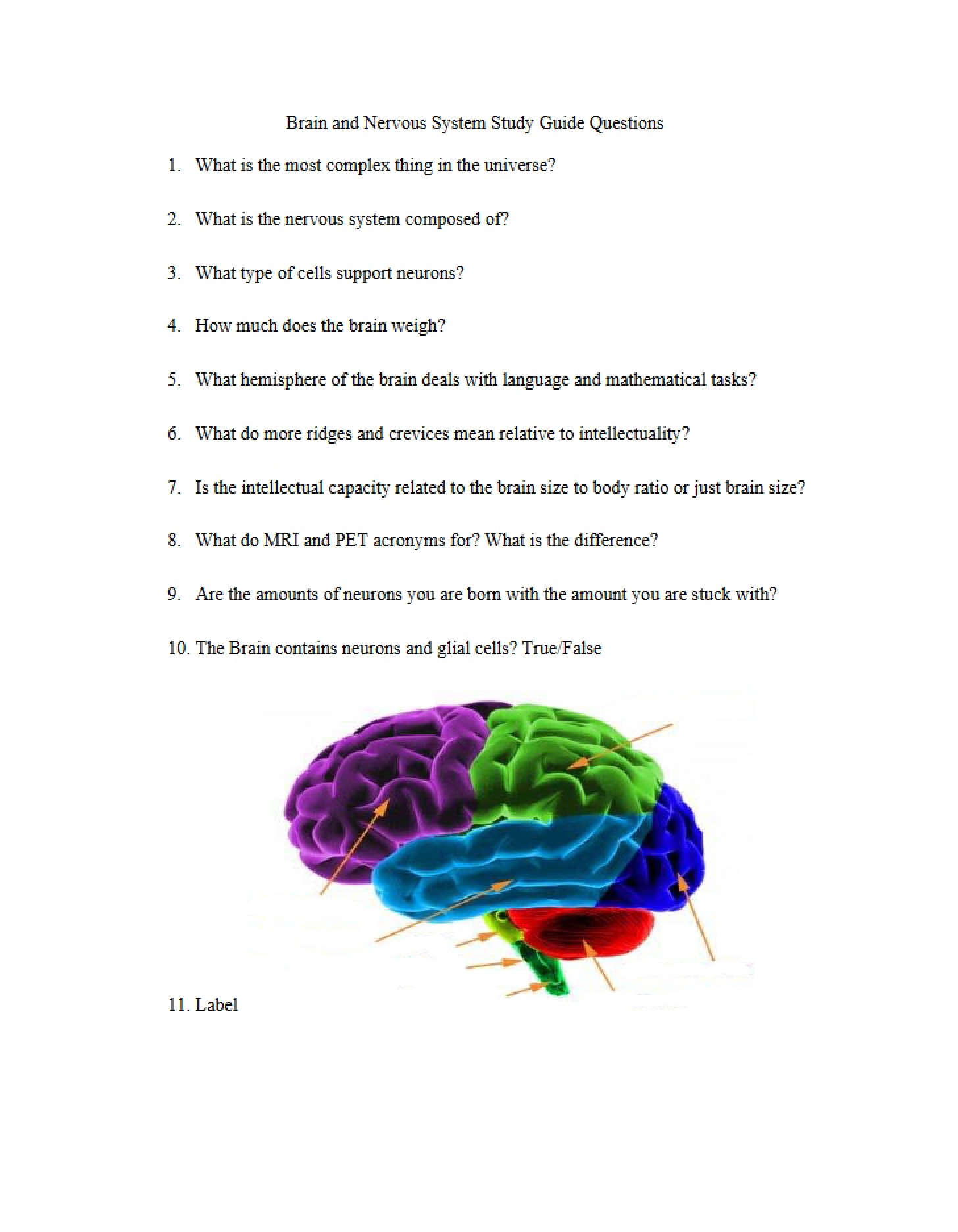 Neurological Study Guide Questions