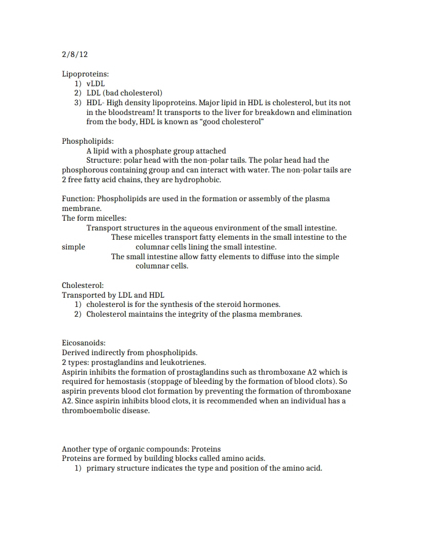 Human Anatomy Lecture Notes