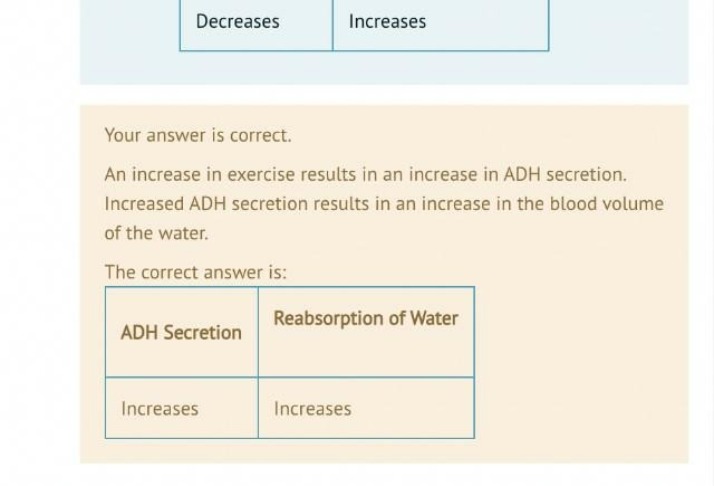 Importance of ADH Secretion for Water Reabsorption