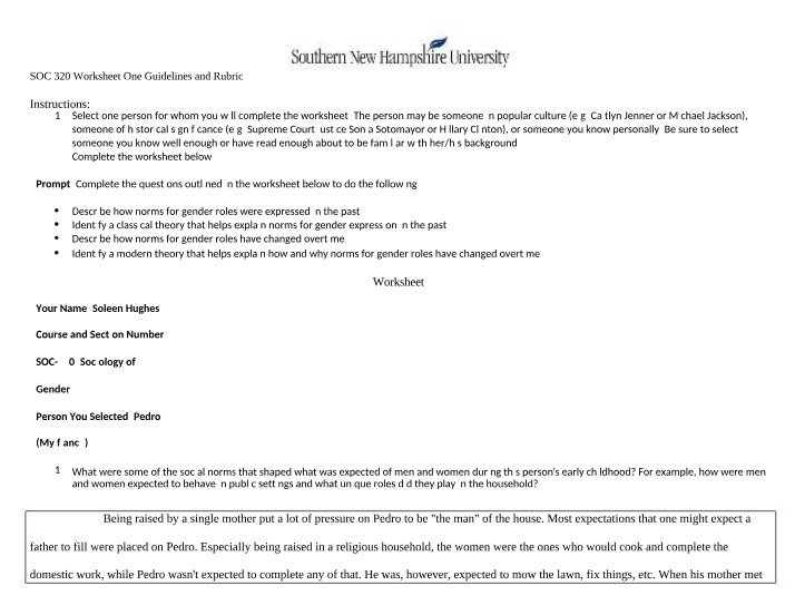 Worksheet One - Rubric and Guidelines
