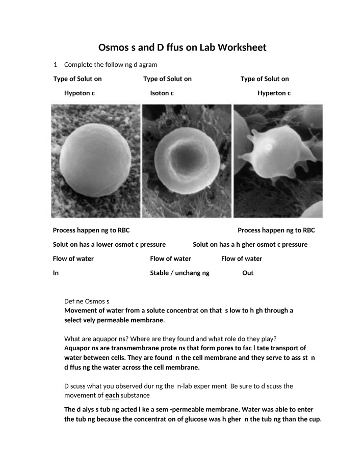 Worksheet for Osmosis and Diffusion Lab
