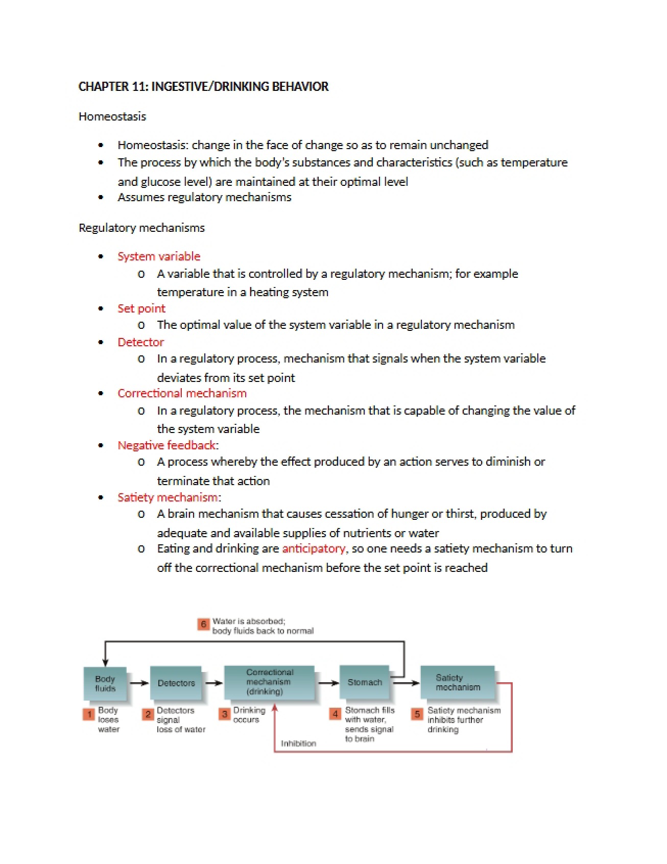 Third Part of Behavioral Neuroscience Notes