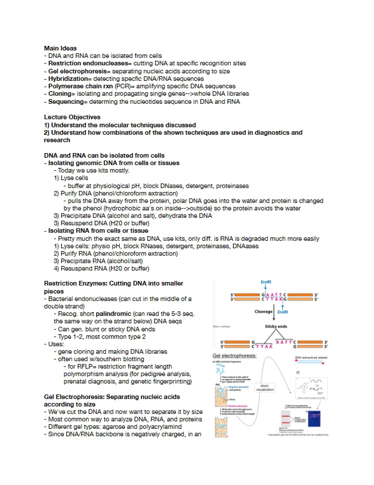Molecular Tools Overview