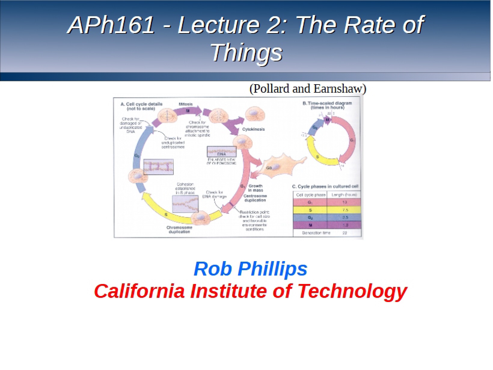 Second Lecture