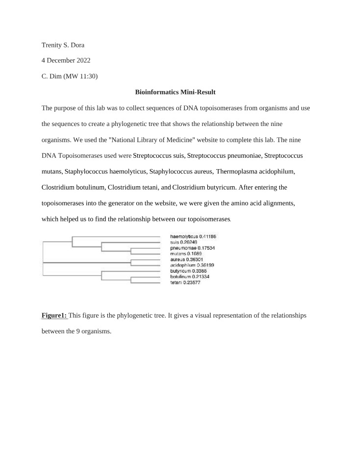BIOL3810 - Bioinformatics