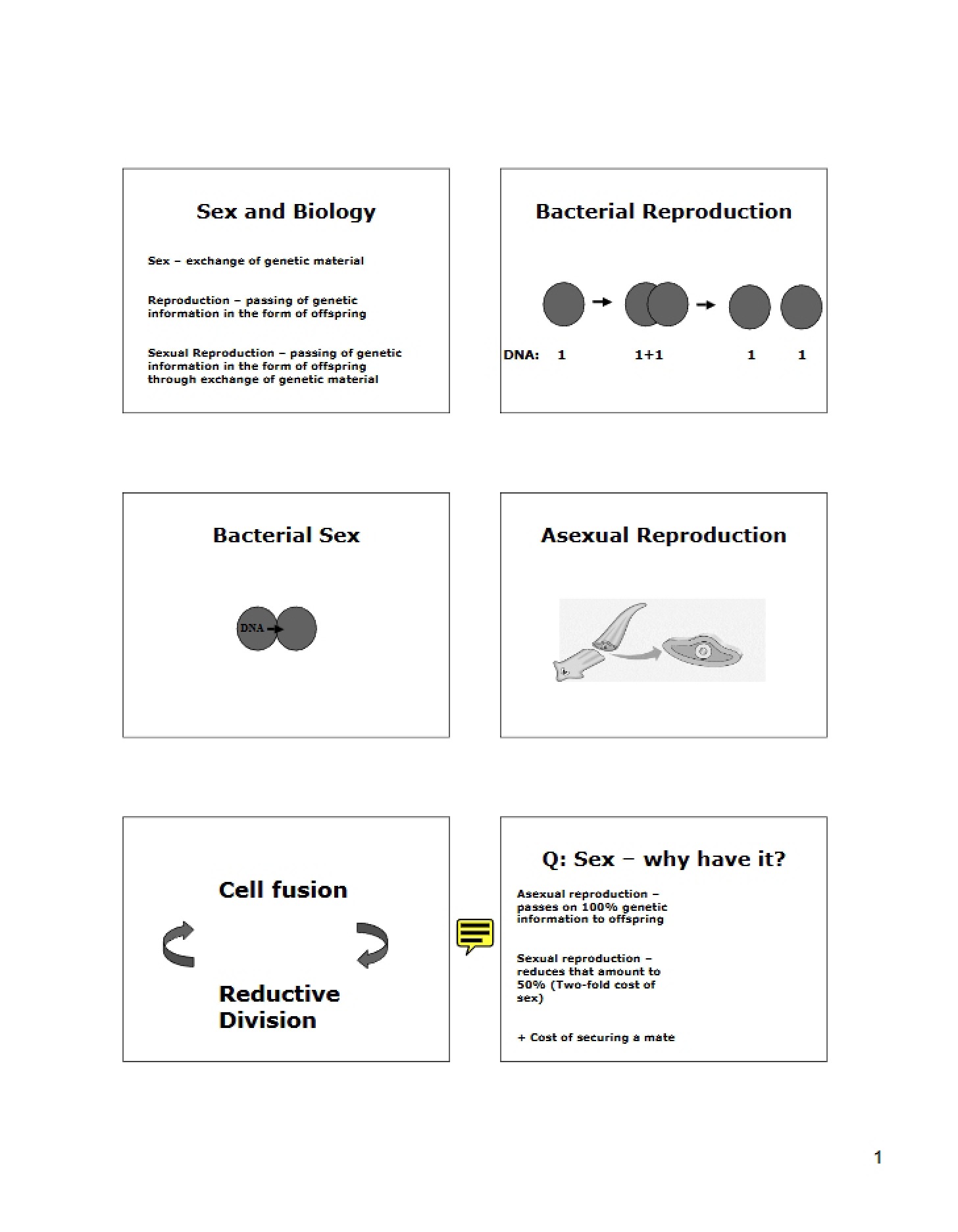 Biology of Sex
