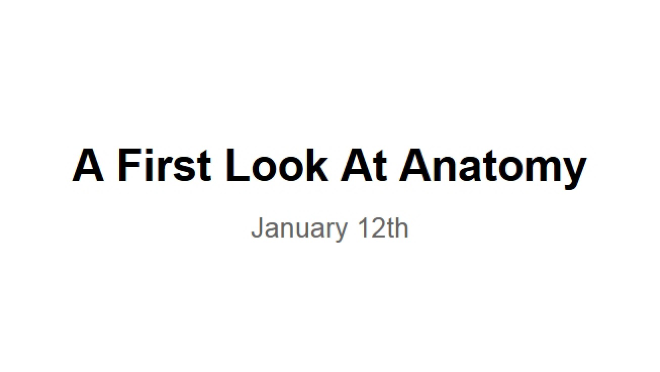 Anatomy Day 1 First Look