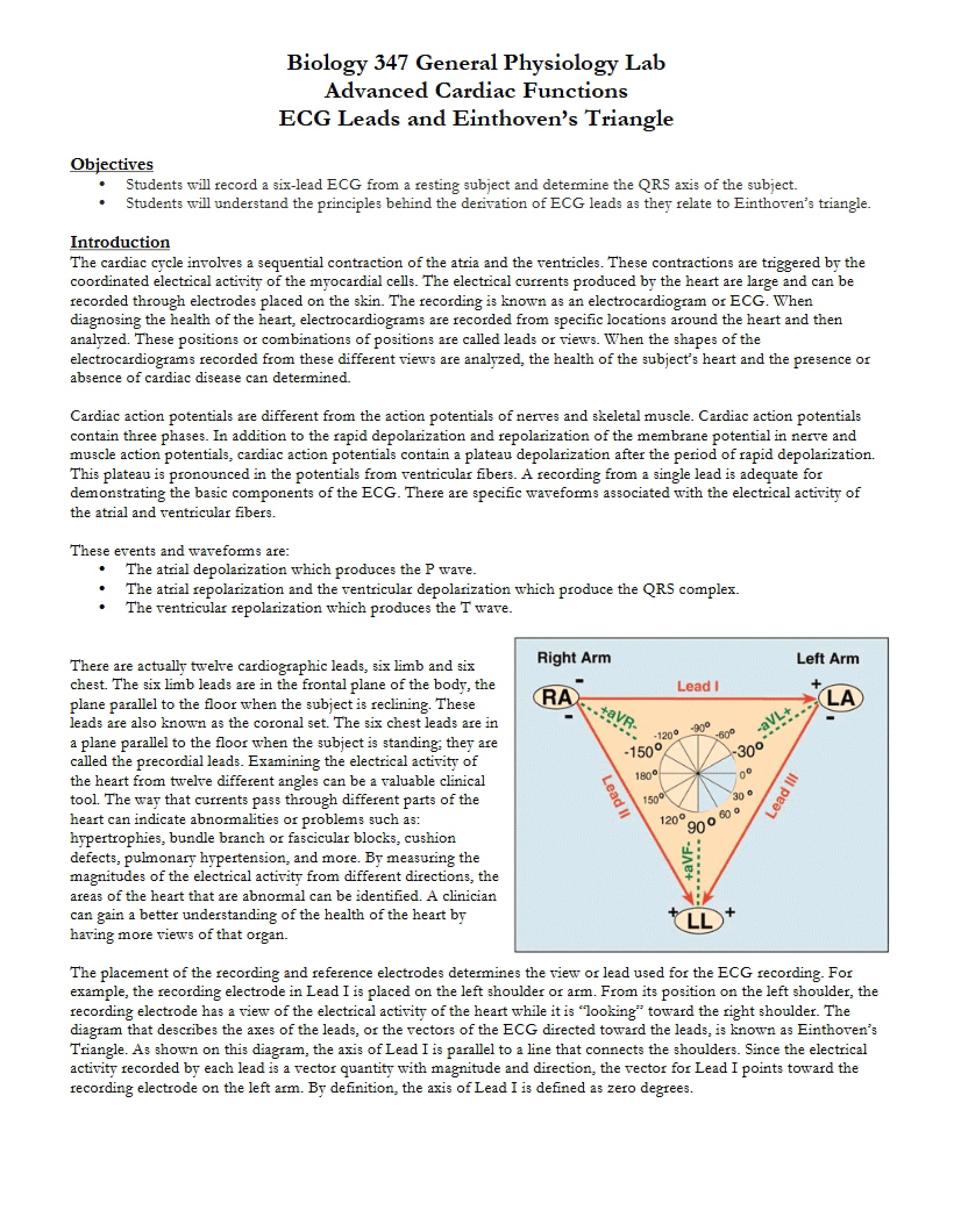 Cardiac Function Advanced