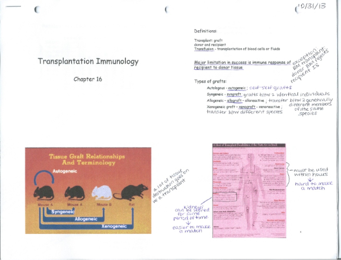 Overview of Transplantation Immunology