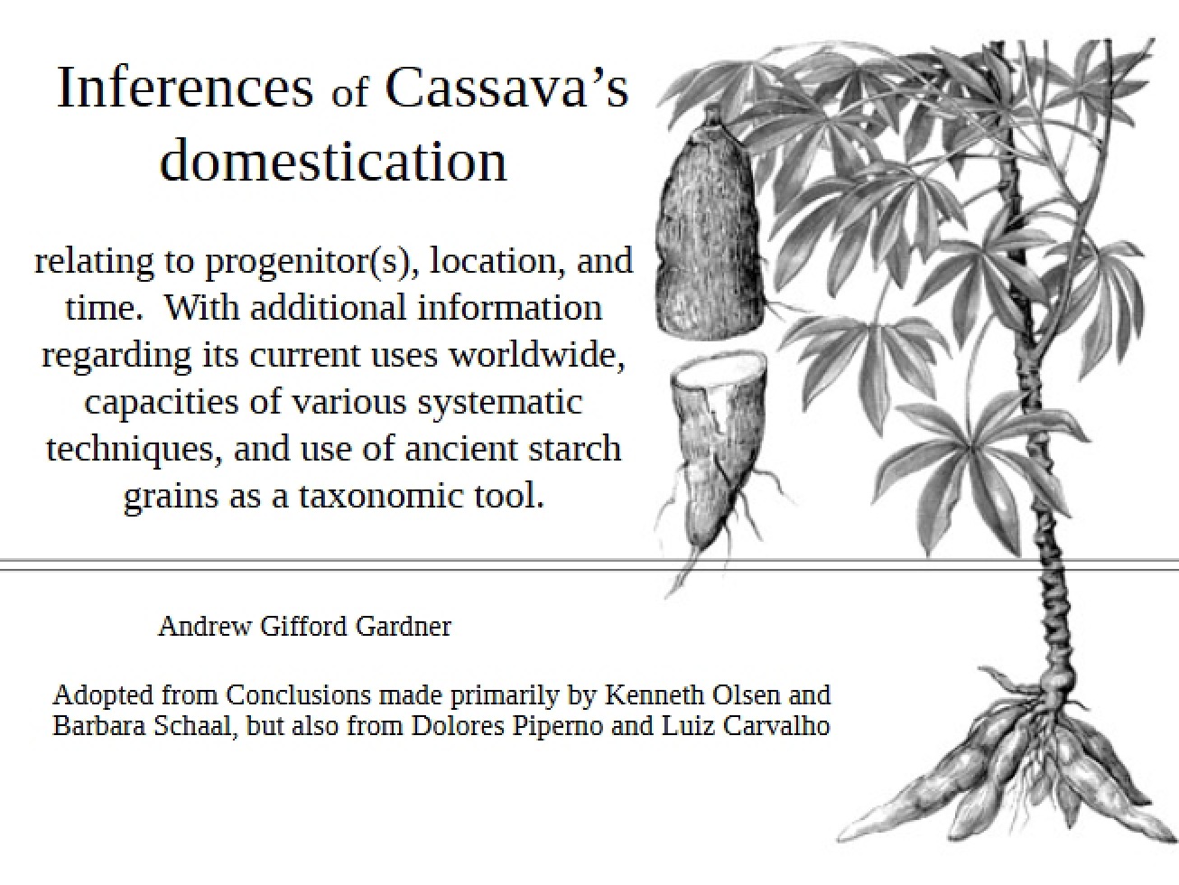 Cassava Domestication Inferences