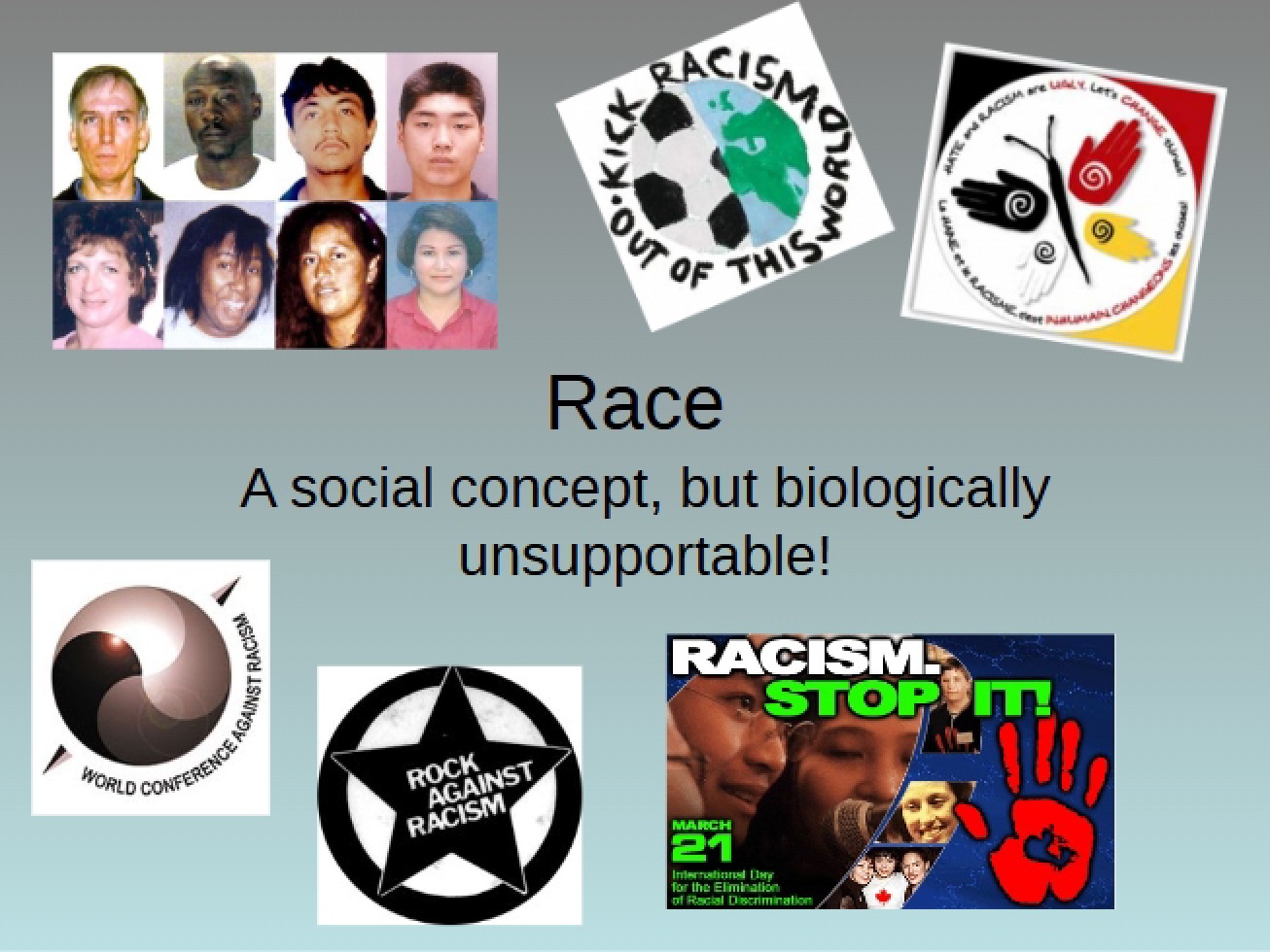 Anthropology Perspectives on Race