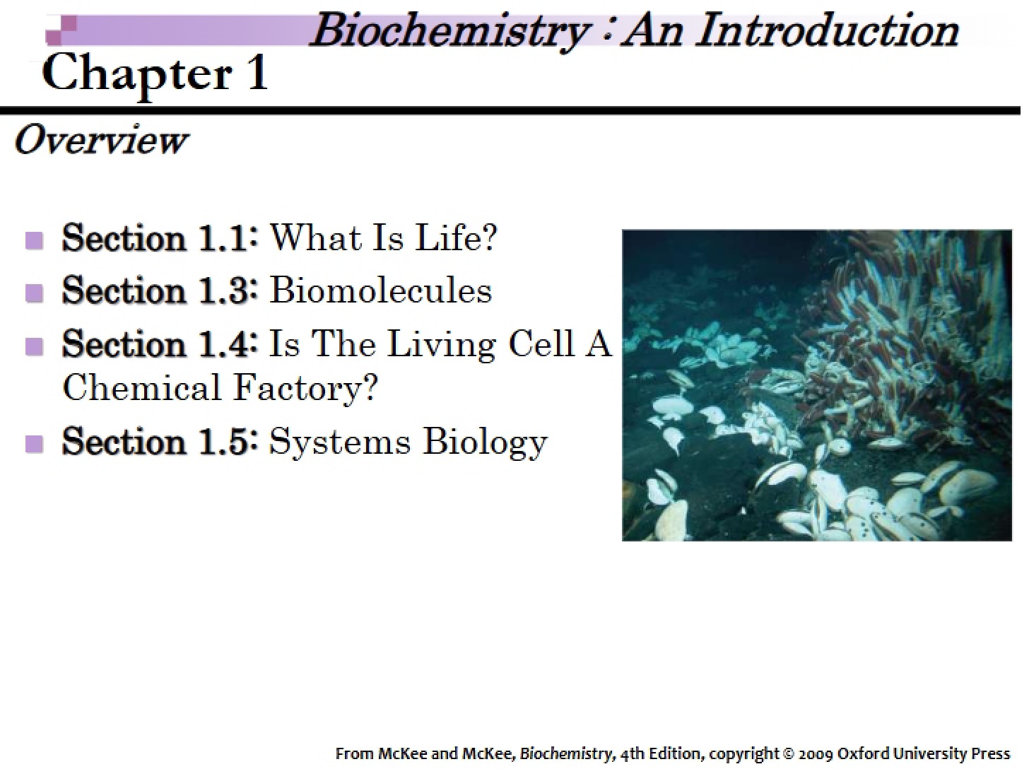 Template McKee Chapter 1 (Annotated)