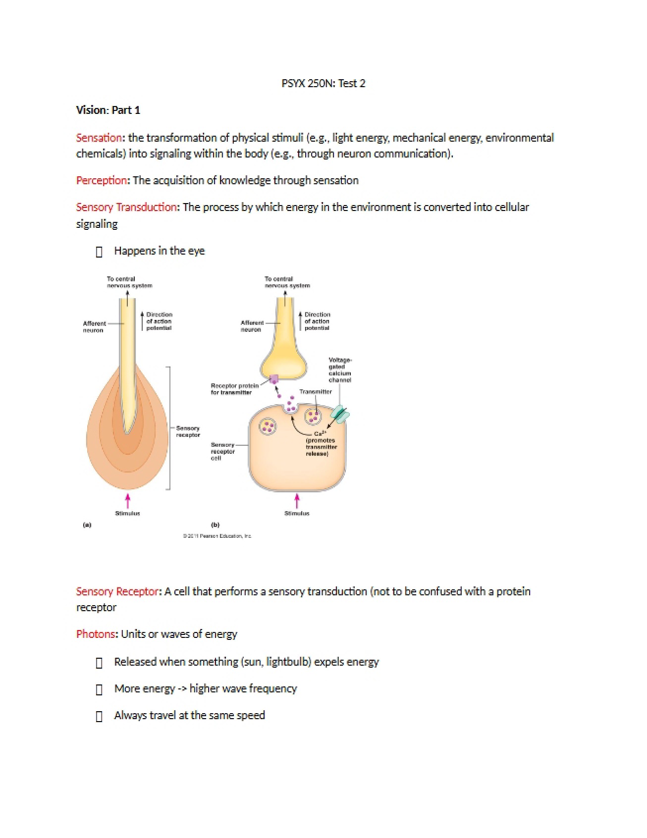Test Two for Fundamentals of Biological Psychology