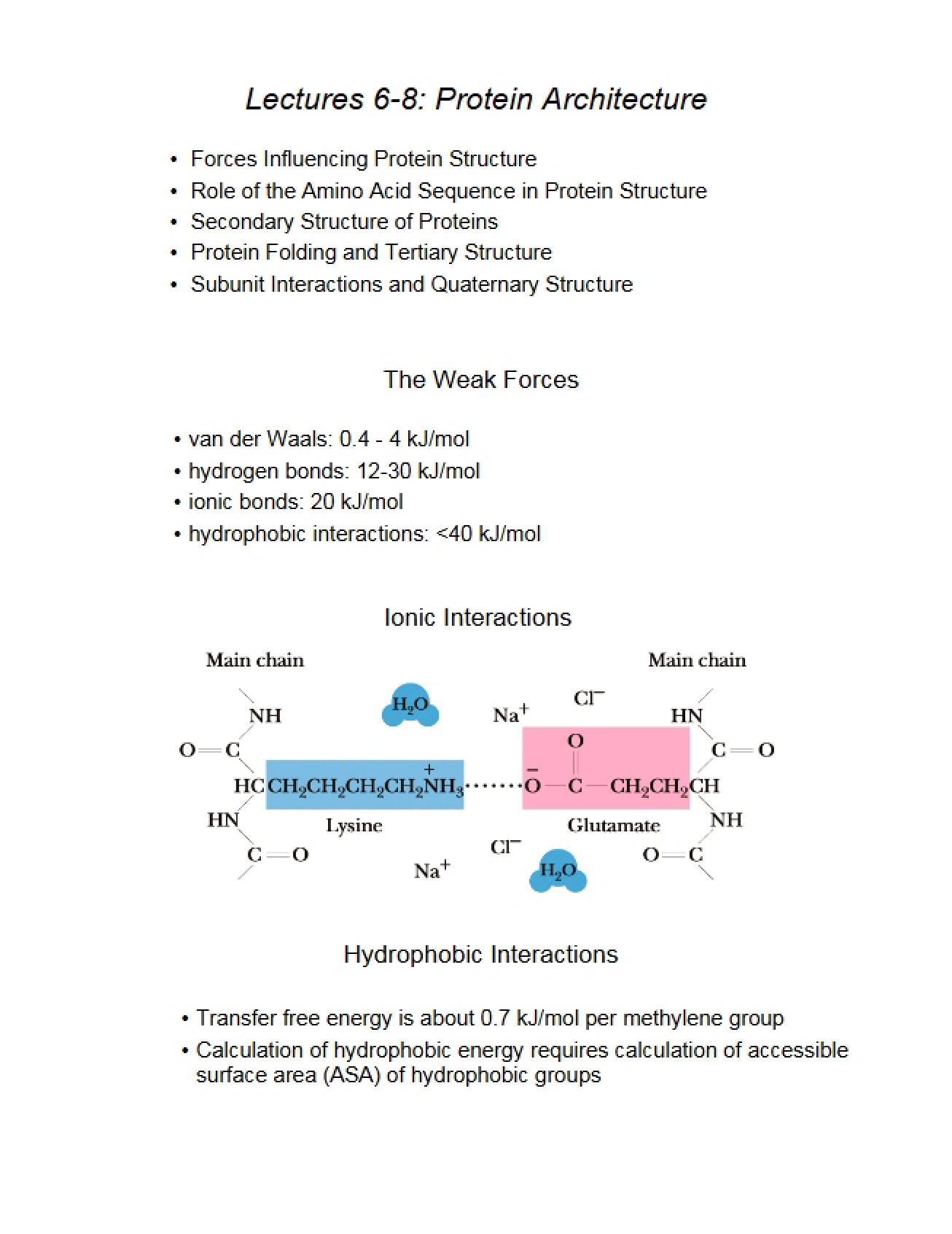 Protein Architecture Principles