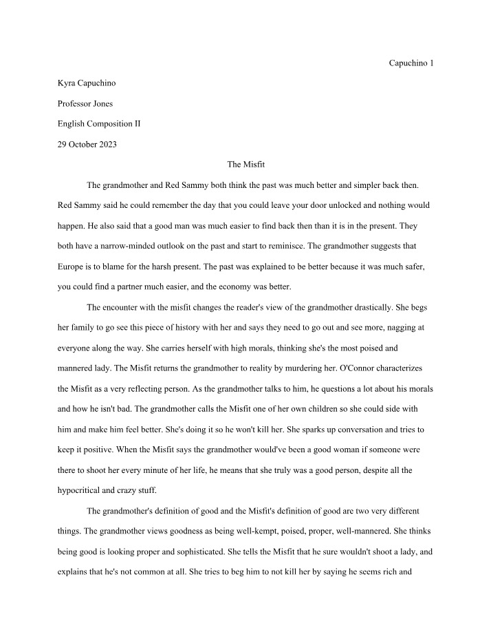 Essay on The Misfit