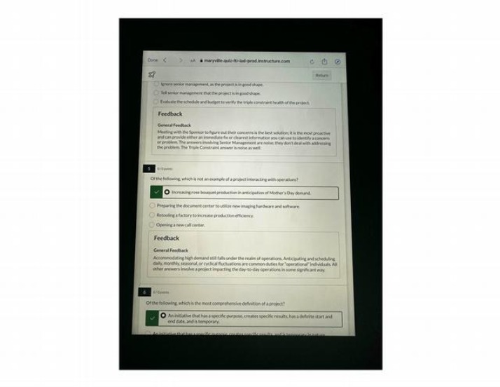 Triple Constraint and Project Interactions
