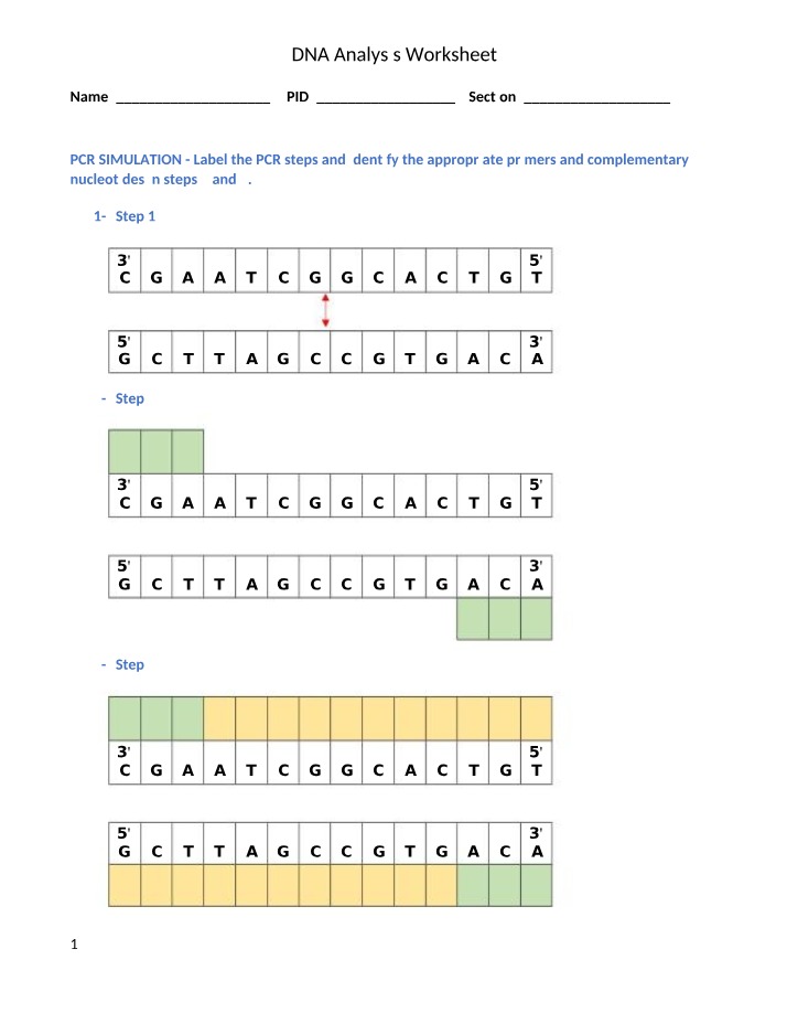 Worksheet on DNA Analysis